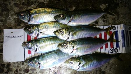 流れの中を漂わせて